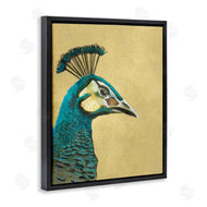 Katie O'Shea | Peacock Looking Right