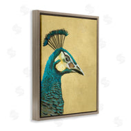 Katie O'Shea | Peacock Looking Right