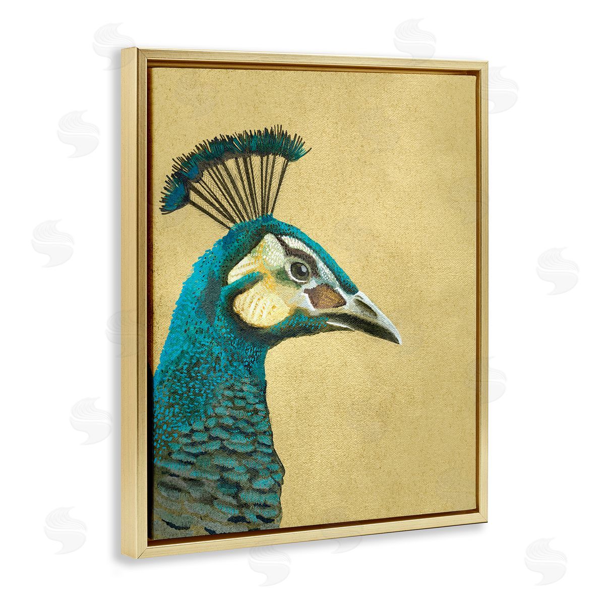 Katie O'Shea | Peacock Looking Right