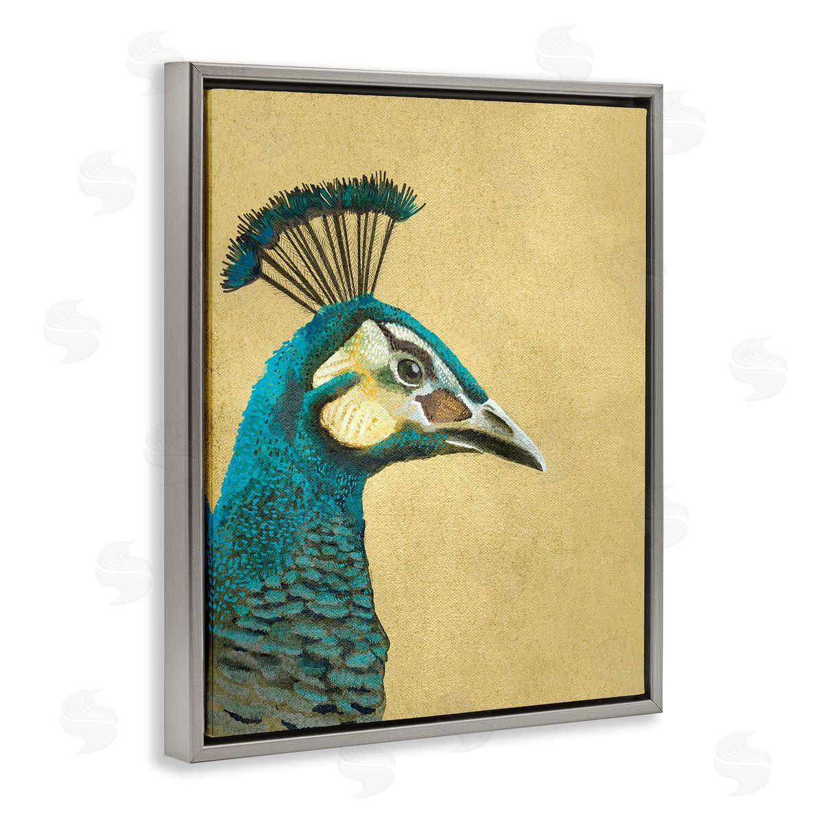 Katie O'Shea Peacock Looking Right Gray Floater Frame Canvas Artside_