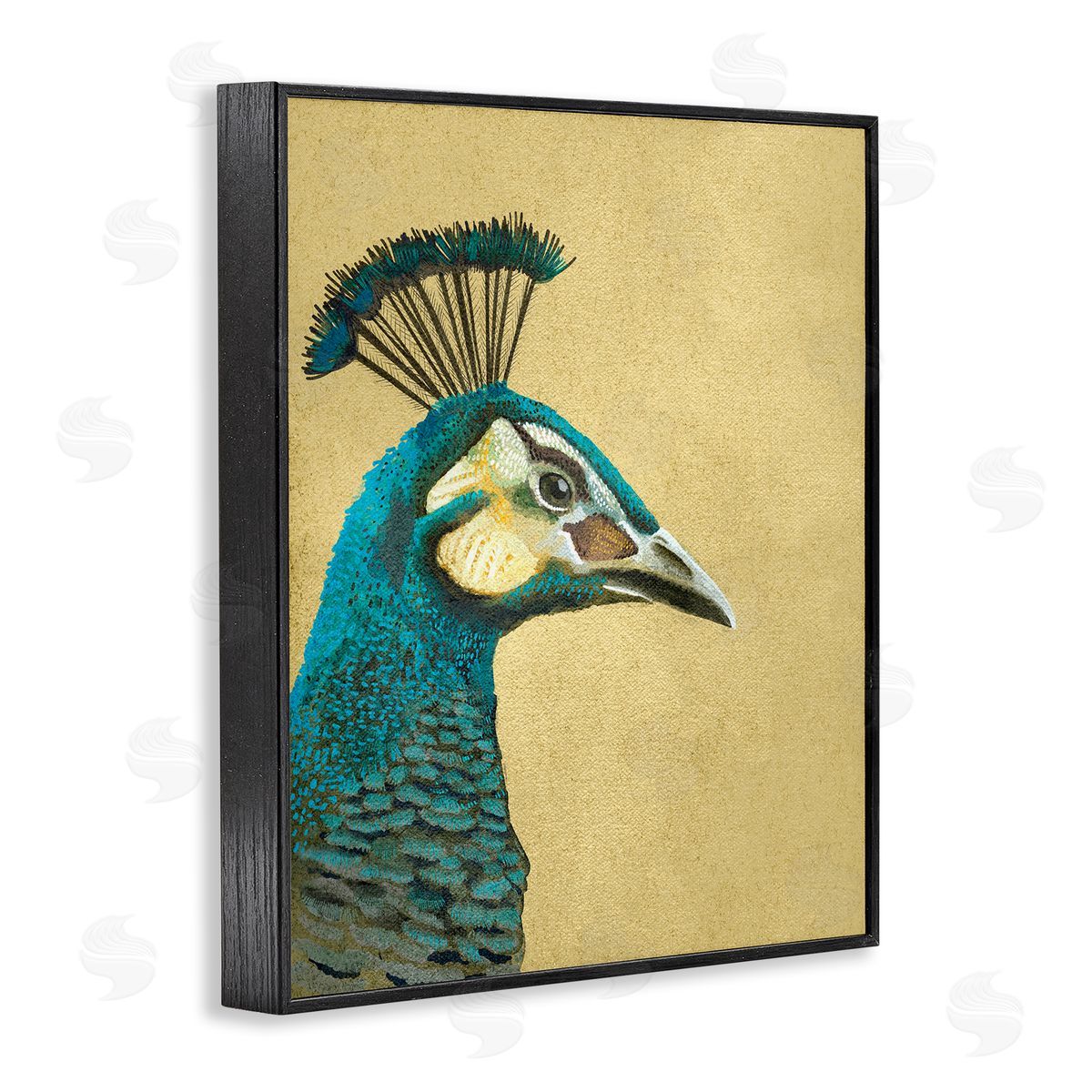 Katie O'Shea Peacock Looking Right Black Framed Giclee Wall Artside_