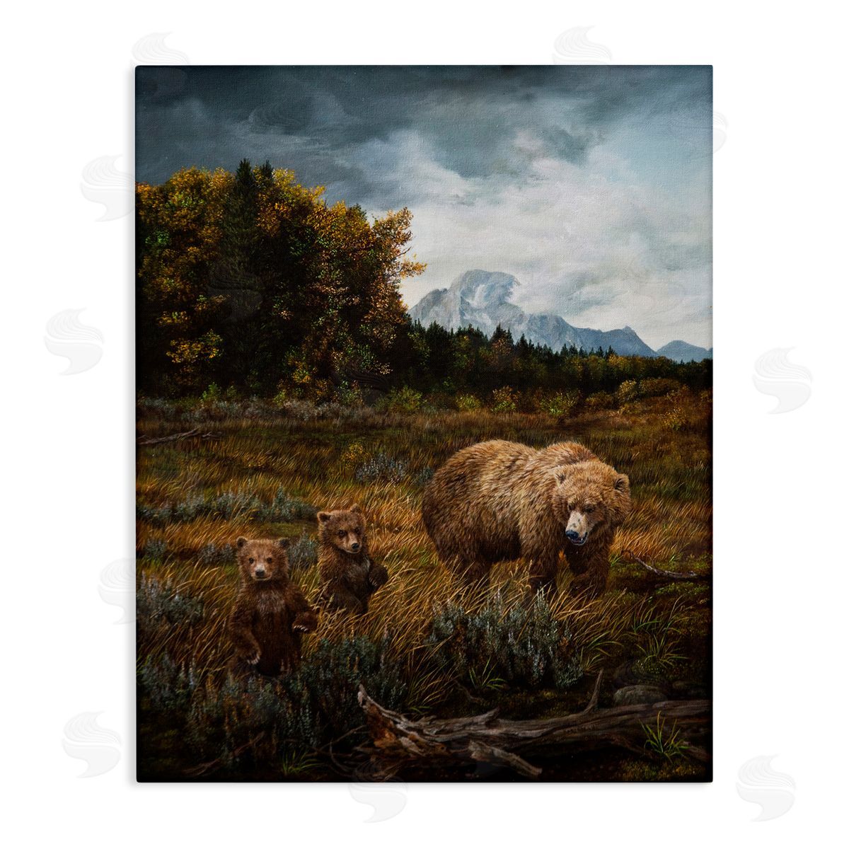Karla Mann | Bears in Nature Scene