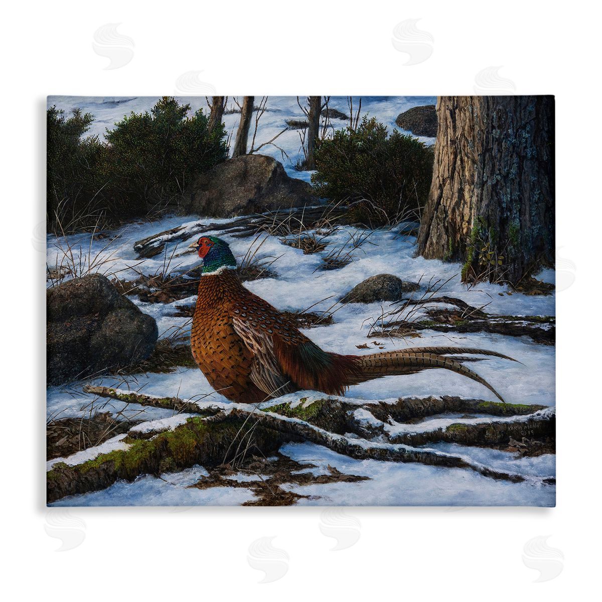 Karla Mann | Pheasant in Snowy Woods