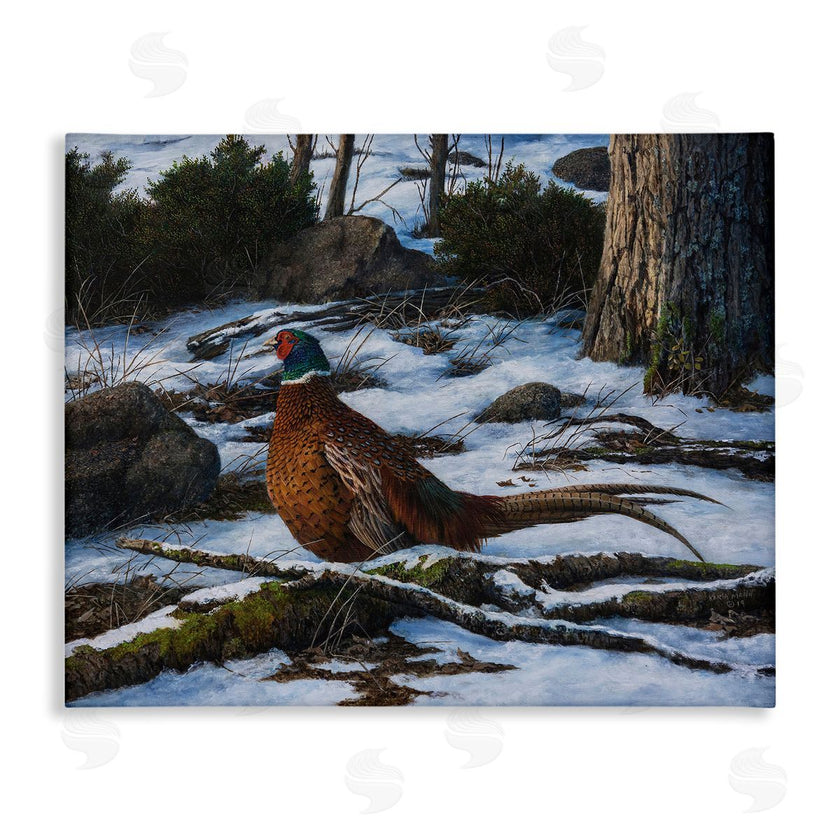 Karla Mann | Pheasant in Snowy Woods