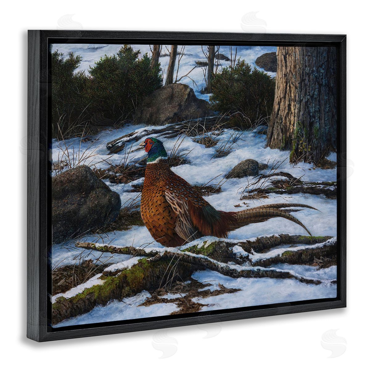 Karla Mann | Pheasant in Snowy Woods