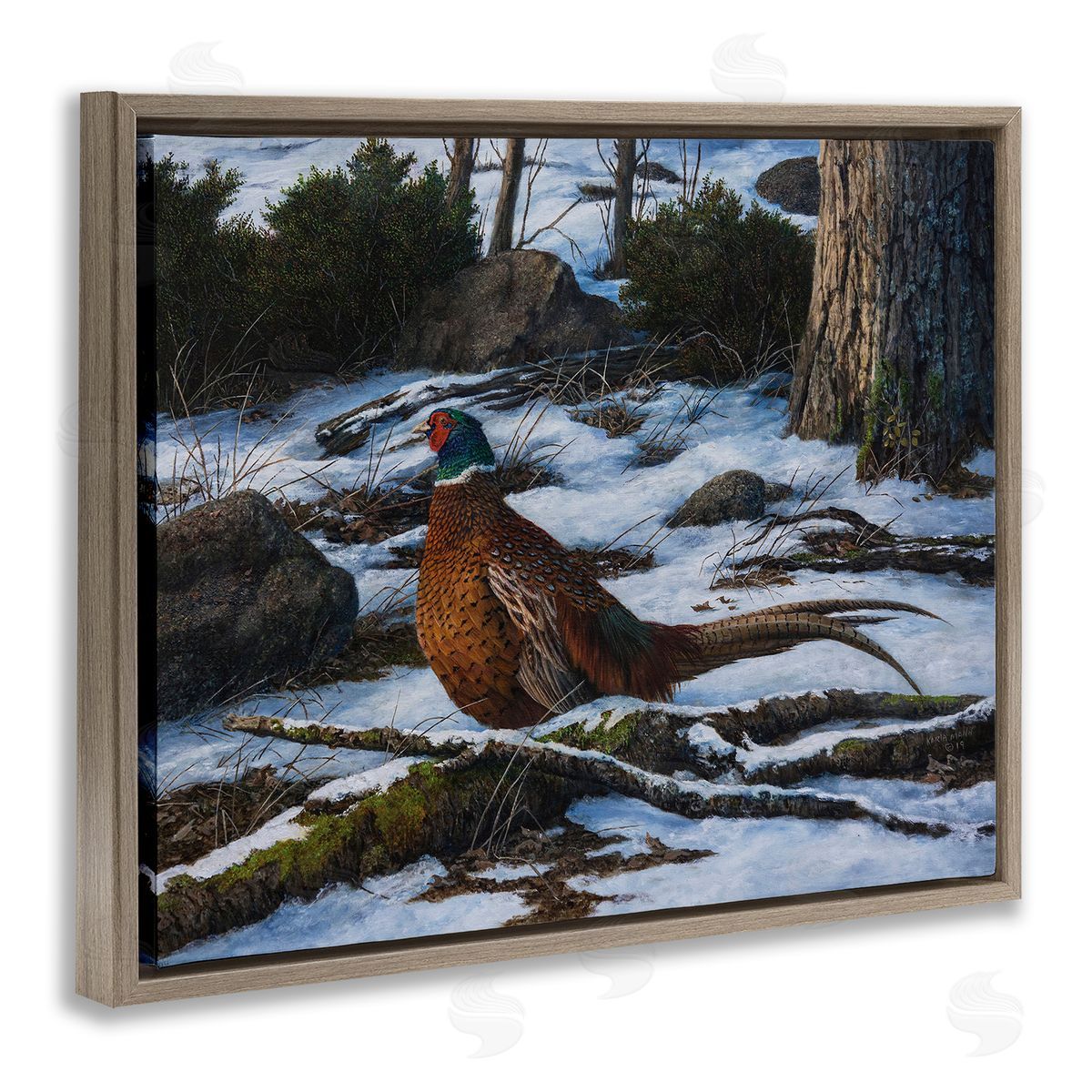 Karla Mann Pheasant in Snowy Woods Brown Floater Frame Canvas Artside_