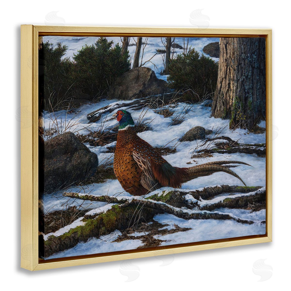 Karla Mann | Pheasant in Snowy Woods