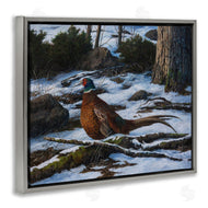 Karla Mann | Pheasant in Snowy Woods