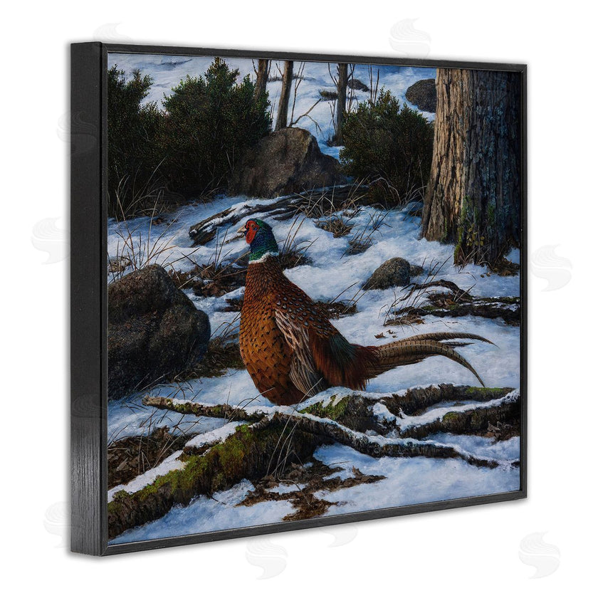 Karla Mann | Pheasant in Snowy Woods