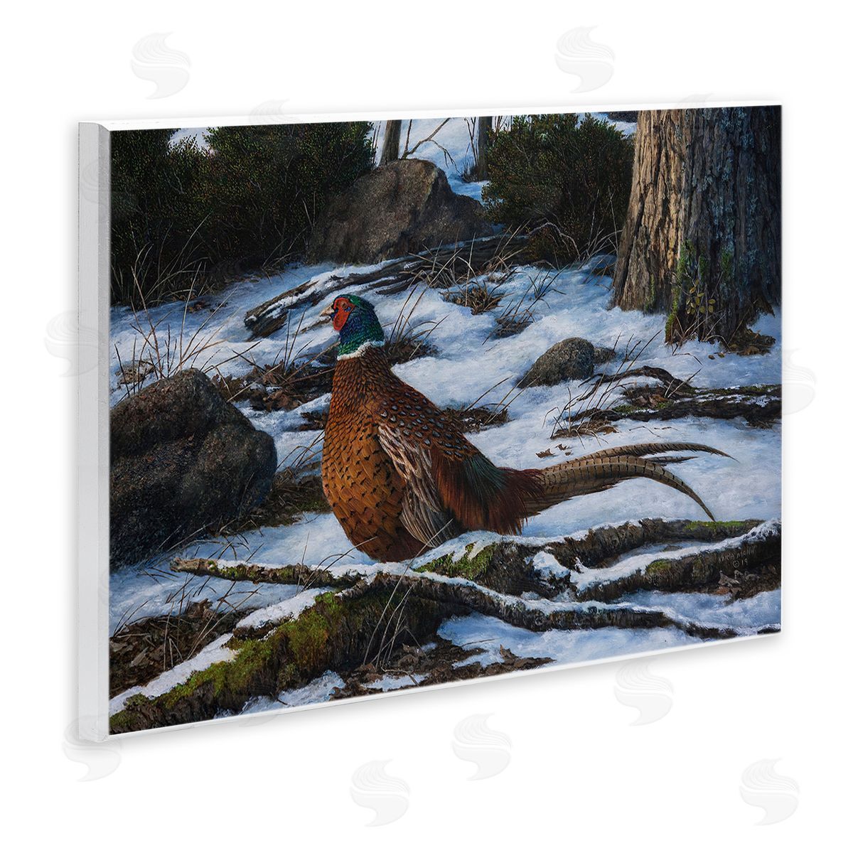 Karla Mann Pheasant in Snowy Woods Wall Plaque Artside_