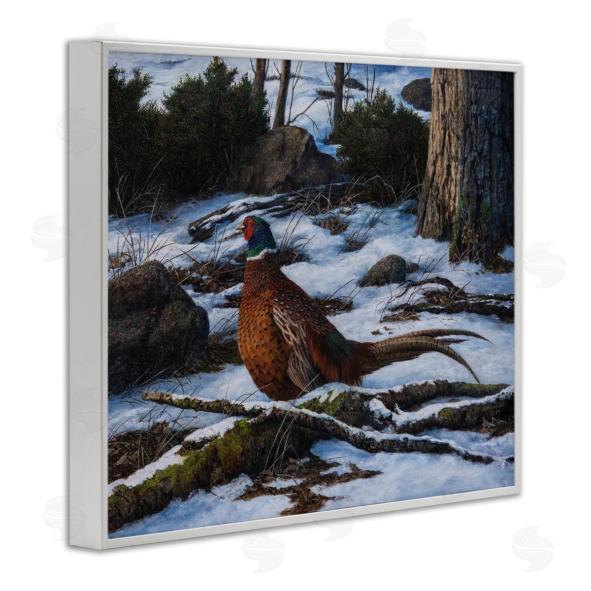Karla Mann | Pheasant in Snowy Woods