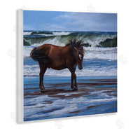 Karla Mann | Horse on Ocean Shore