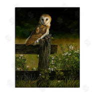 Karla Mann | Barn Owl on Fence