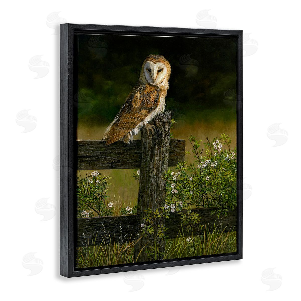 Karla Mann Barn Owl on Fence Black Floater Frame Canvas Artside_