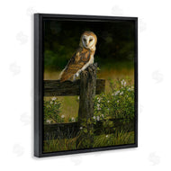 Karla Mann | Barn Owl on Fence