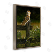 Karla Mann | Barn Owl on Fence