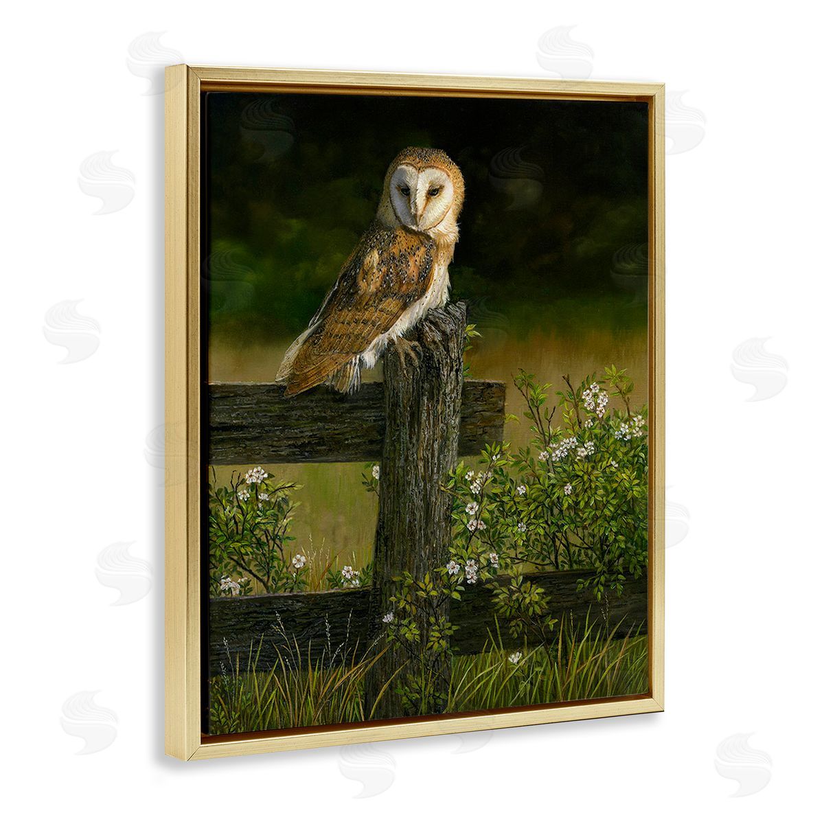 Karla Mann | Barn Owl on Fence