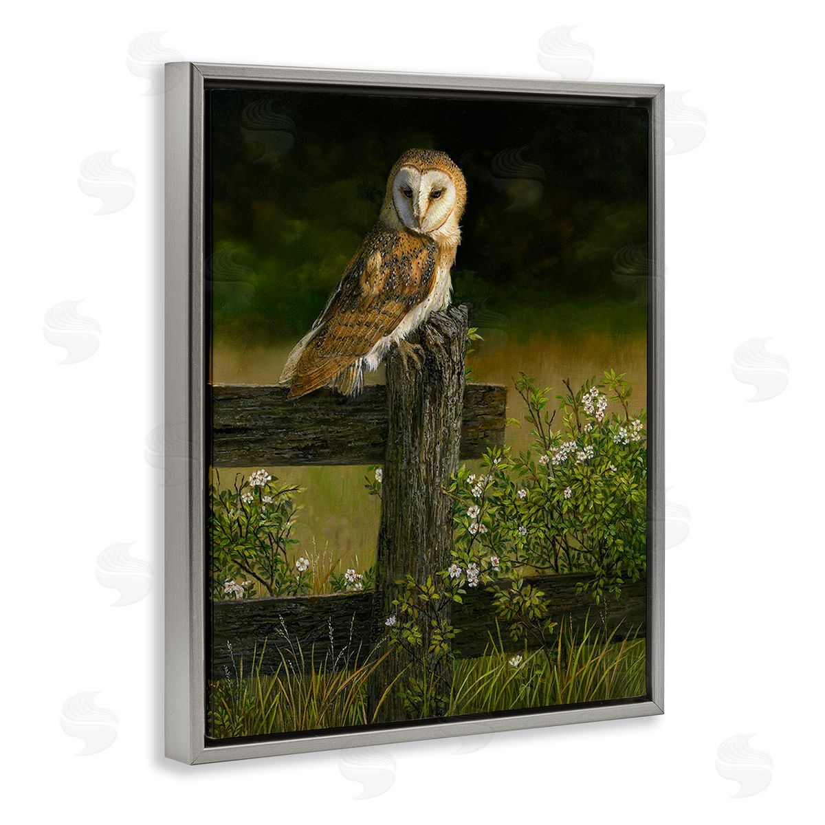 Karla Mann | Barn Owl on Fence