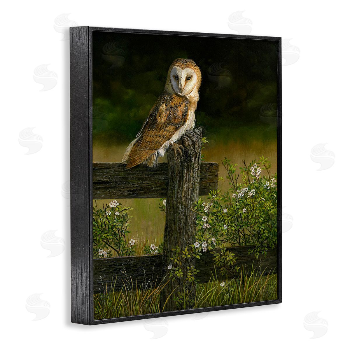 Karla Mann | Barn Owl on Fence