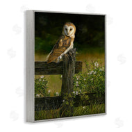 Karla Mann | Barn Owl on Fence