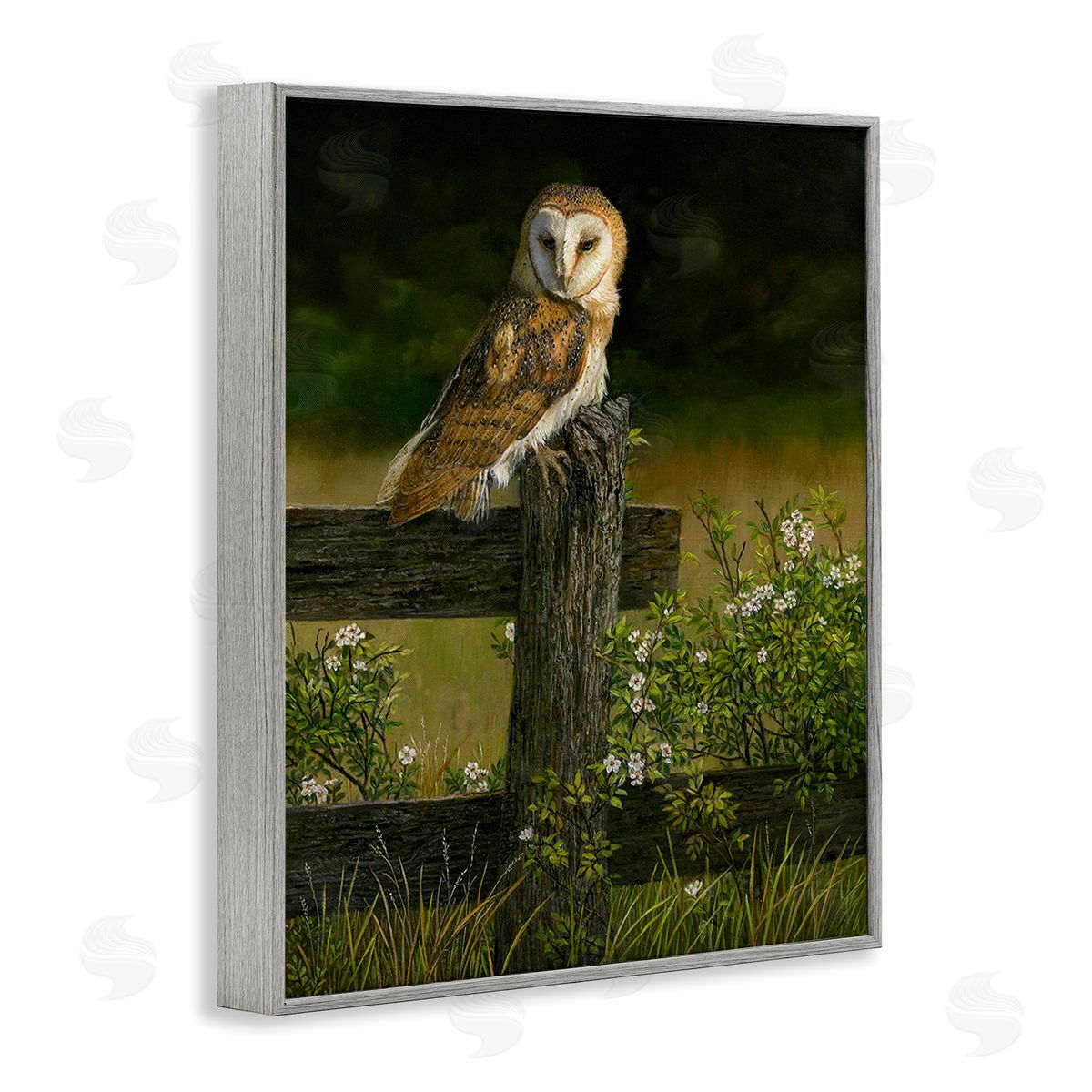 Karla Mann | Barn Owl on Fence