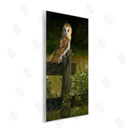 Karla Mann | Barn Owl on Fence