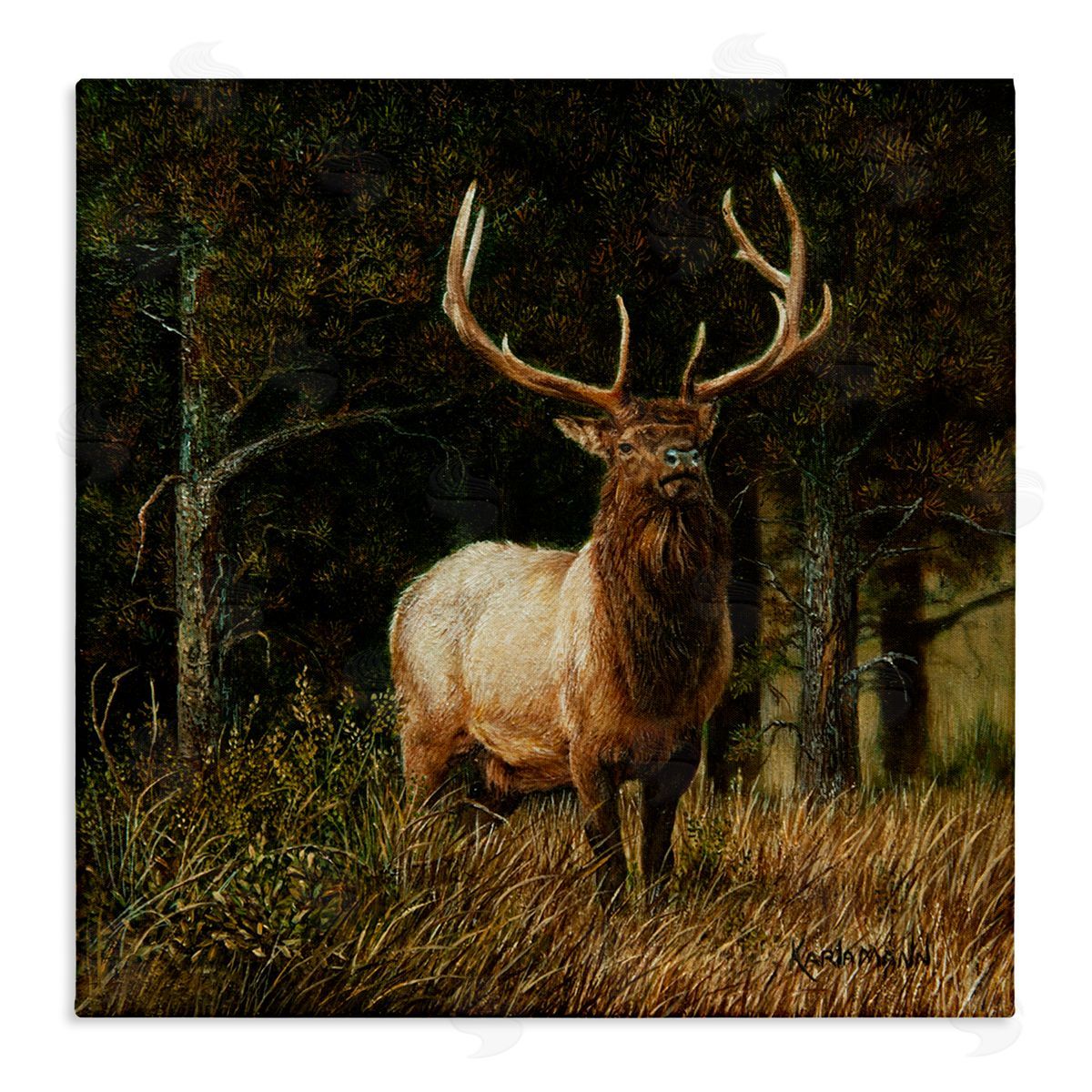 Karla Mann | Elk in Forest Painting