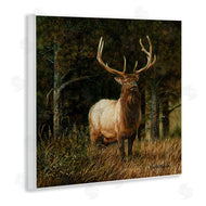 Karla Mann | Elk in Forest Painting
