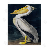 Incado | Pelican on Night Shore