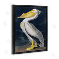 Incado | Pelican on Night Shore