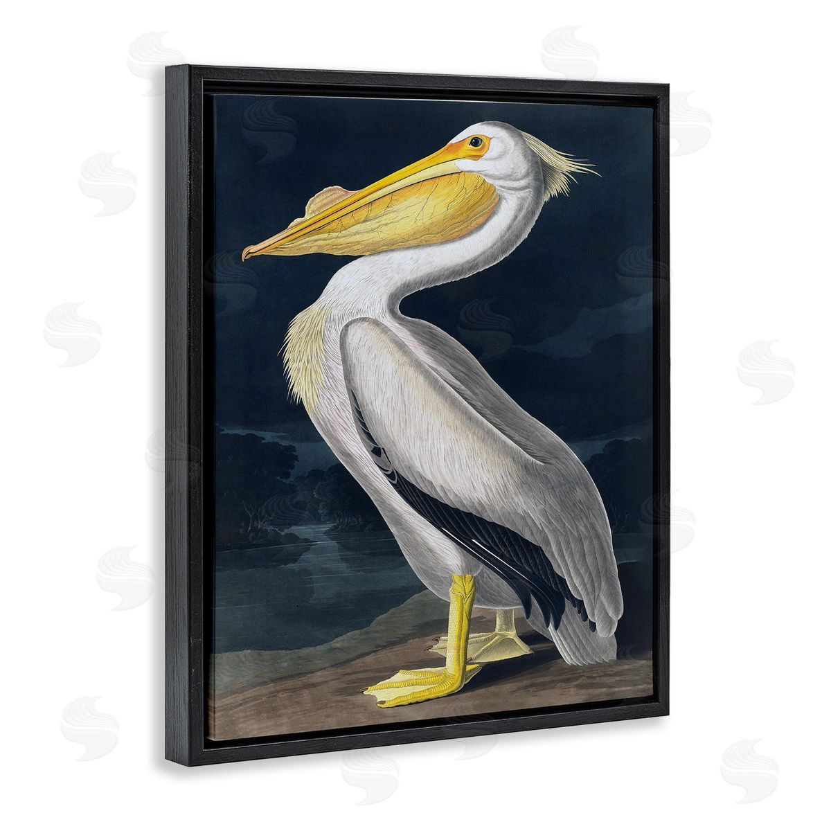 Incado | Pelican on Night Shore