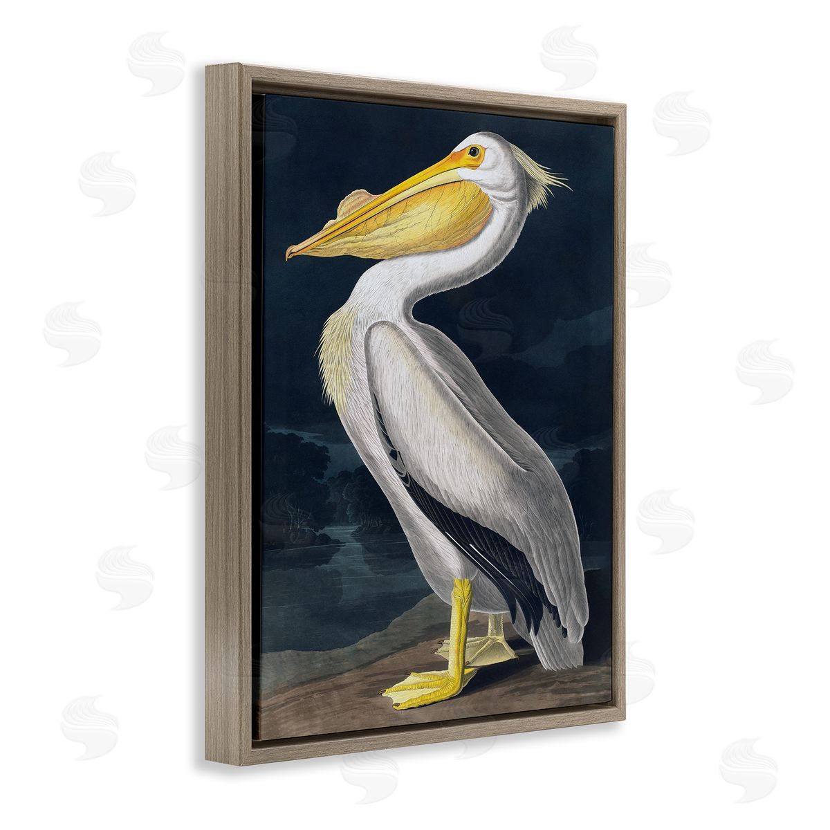 Incado Pelican on Night Shore Brown Floater Frame Canvas Artside_