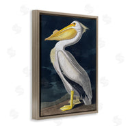Incado | Pelican on Night Shore