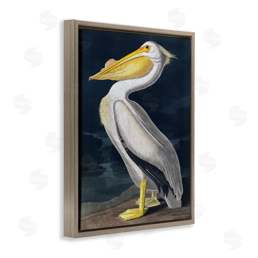 Incado | Pelican on Night Shore