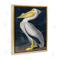 Incado | Pelican on Night Shore