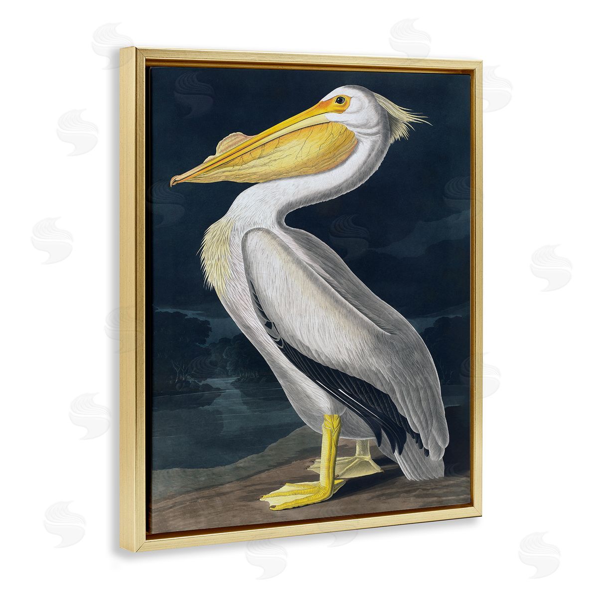 Incado | Pelican on Night Shore