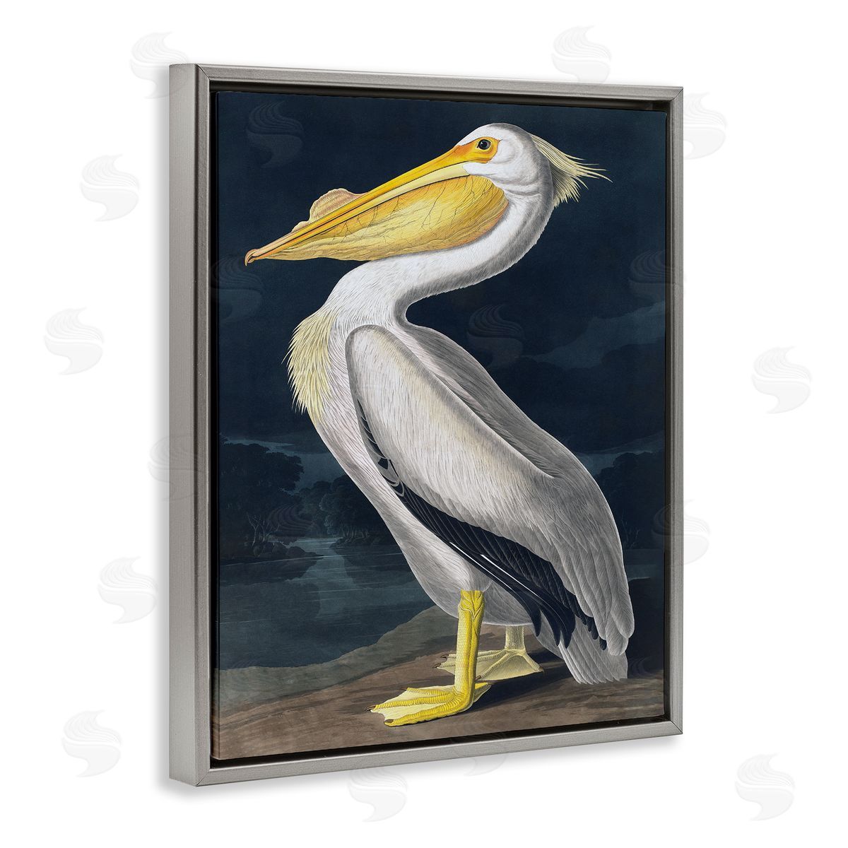 Incado | Pelican on Night Shore