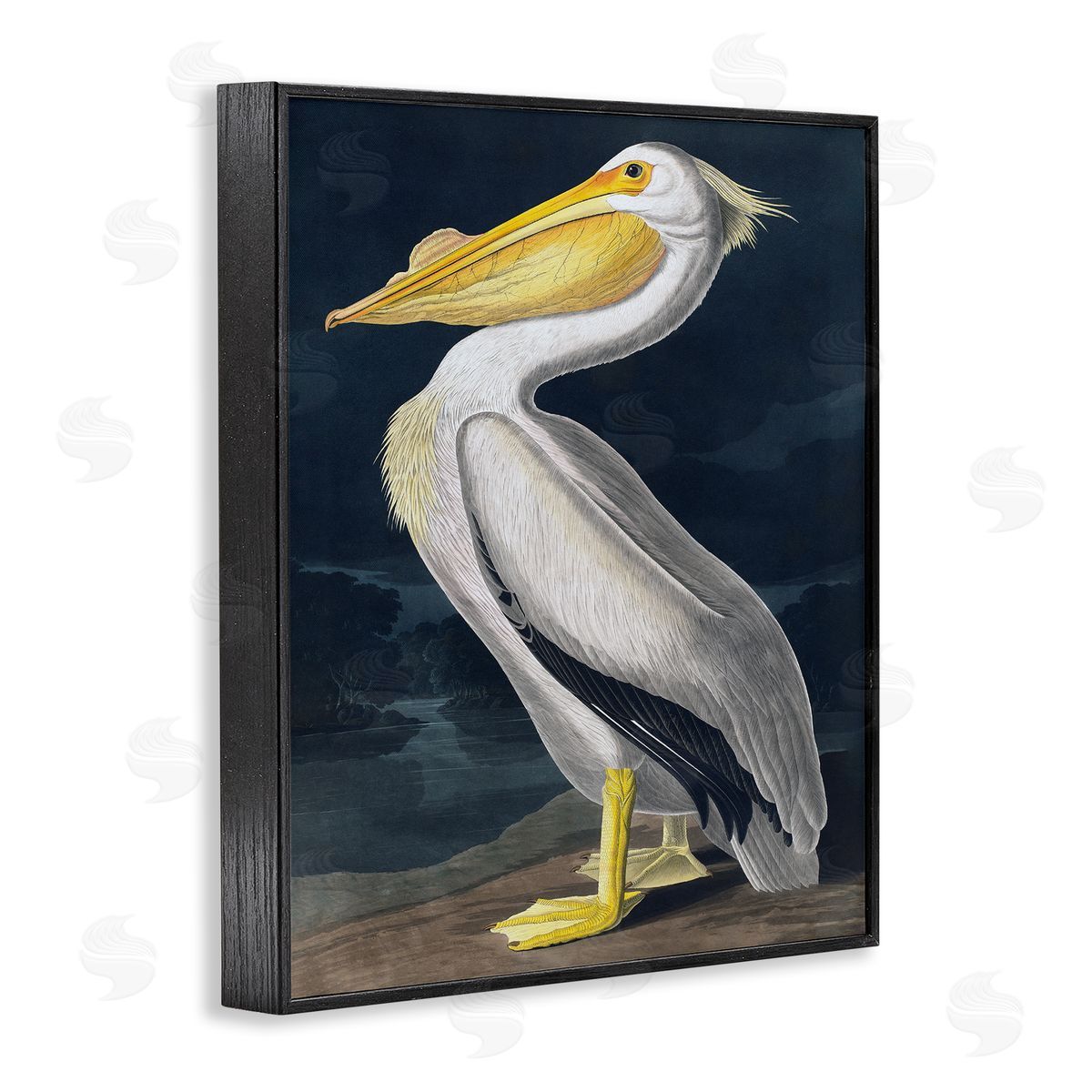 Incado Pelican on Night Shore Black Framed Giclee Wall Artside_