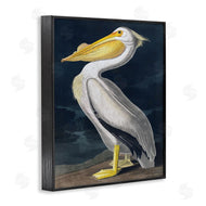 Incado | Pelican on Night Shore