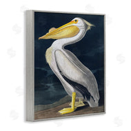 Incado | Pelican on Night Shore