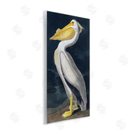 Incado | Pelican on Night Shore