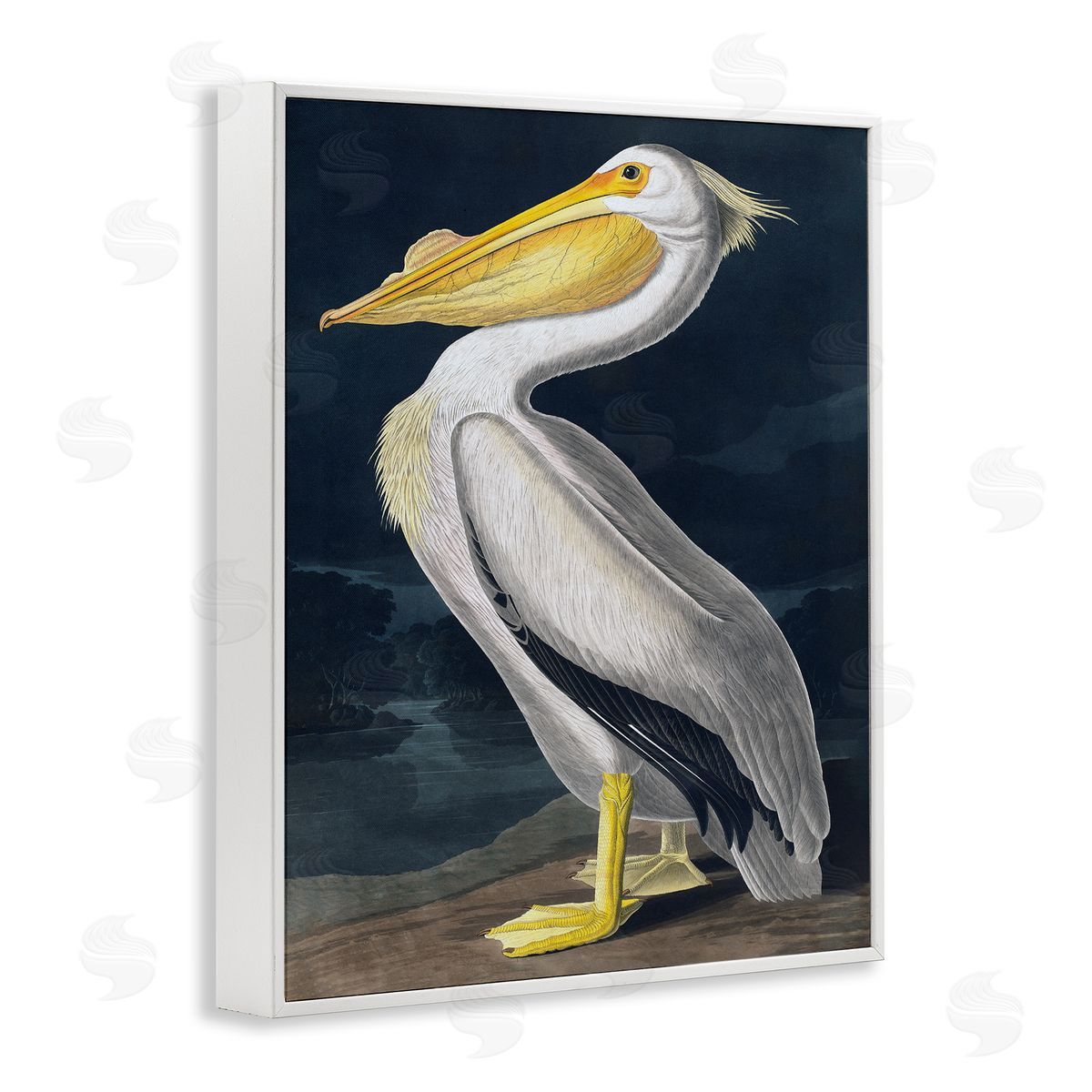 Incado | Pelican on Night Shore
