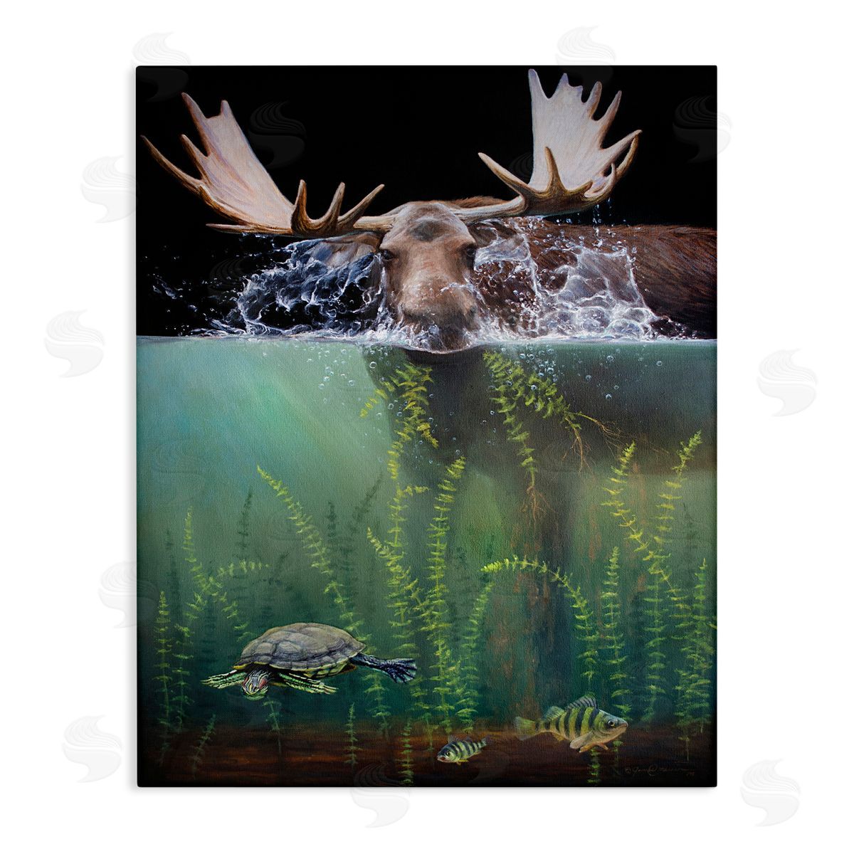 James Corwin Moose Underwater View Canvas Wall Art