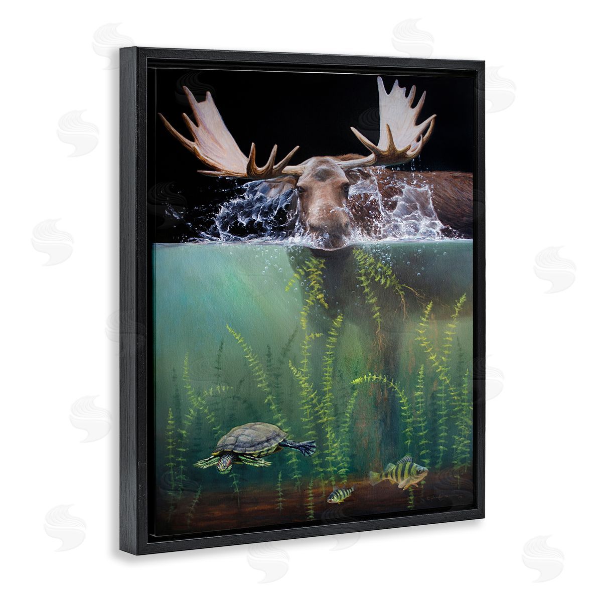 James Corwin Moose Underwater View Black Floater Frame Canvas Artside_