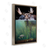 James Corwin | Moose Underwater View