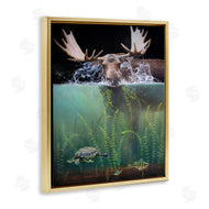 James Corwin | Moose Underwater View
