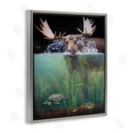 James Corwin | Moose Underwater View