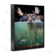 James Corwin | Moose Underwater View