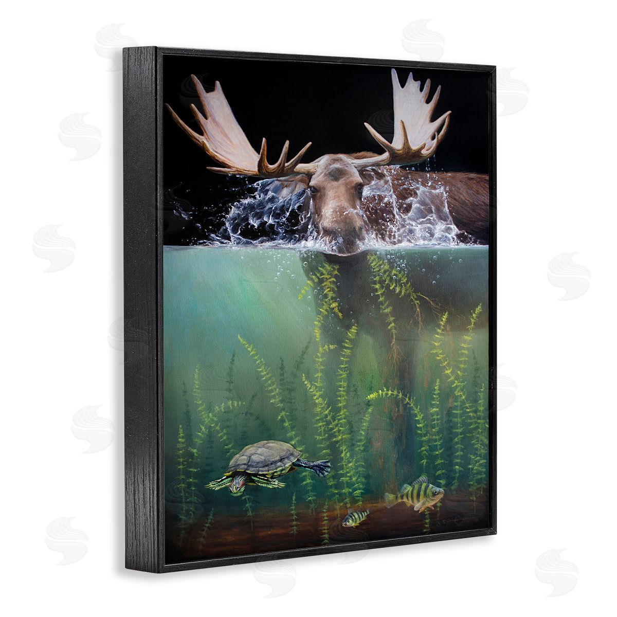 James Corwin | Moose Underwater View