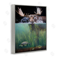 James Corwin | Moose Underwater View